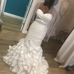 2014 Premier Collection Mikaella #1850